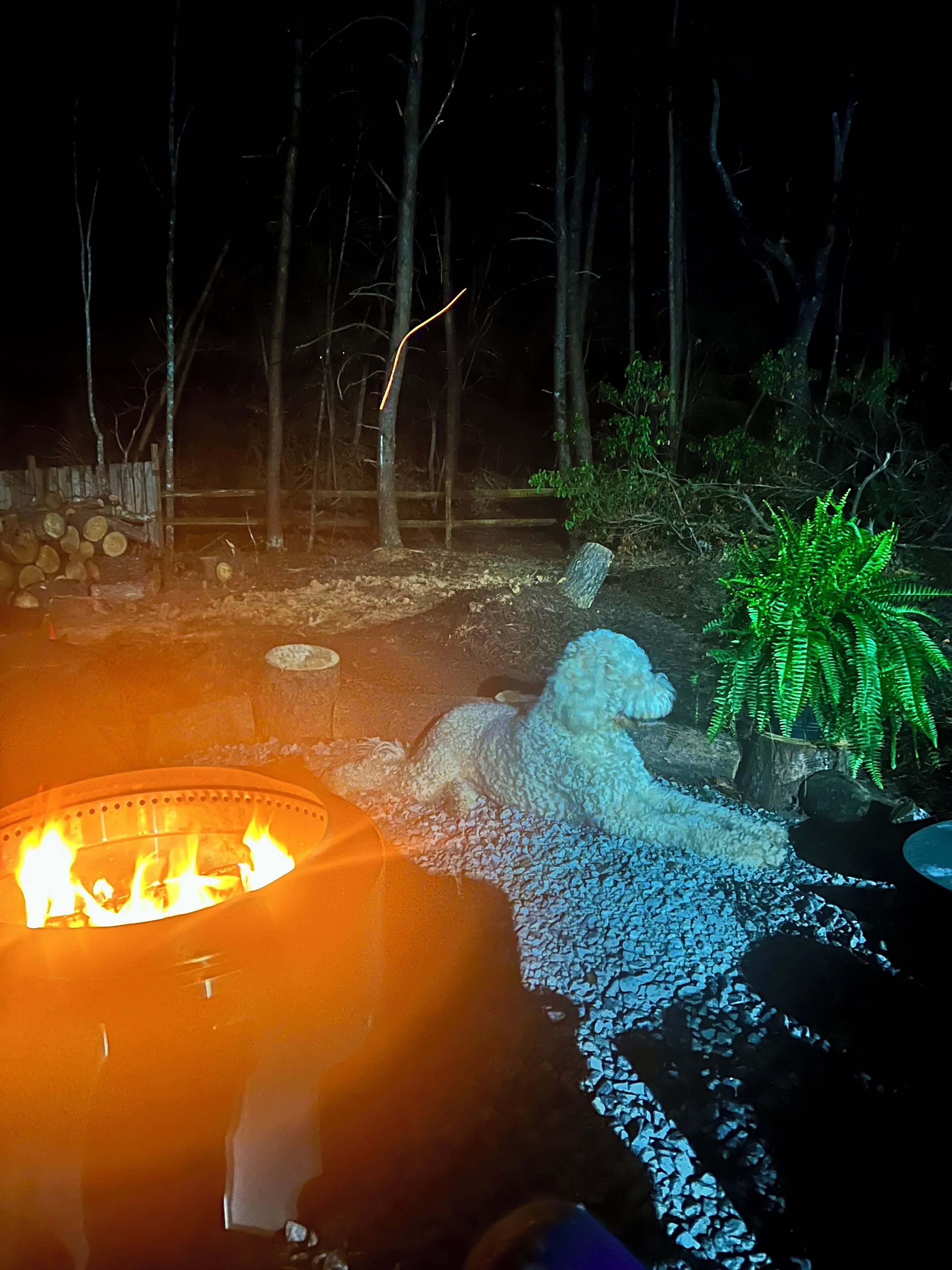 Ein stimmungsvolles Outdoor-Szenario bei Nacht mit Feuerstelle, dekorativem Schneemann und einer Grünpflanze.