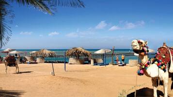 Studio, 1 Bedroom, Accessible, Smoking | Beach