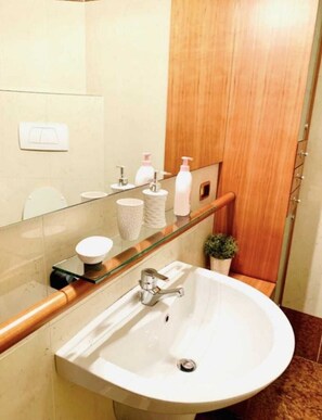 Shower, hair dryer, bidet, towels