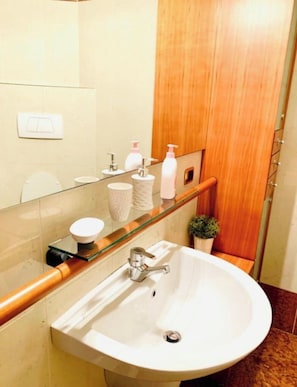 Shower, hair dryer, bidet, towels