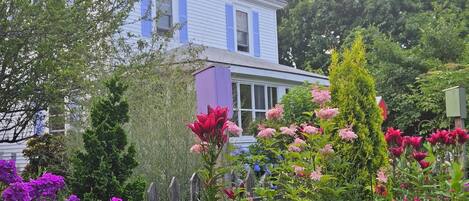 Área da propriedade