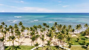 Una playa con palmeras y vistas al océano.