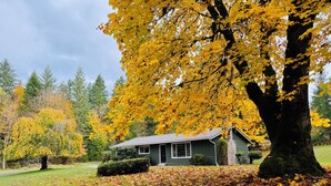 Une maison entourée d’une pelouse parsemée de feuilles d’automne.