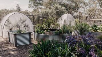 Terrein van de accommodatie