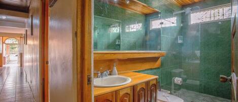 Secador de cabelo, toalhas de banho, sabonete, papel higiênico