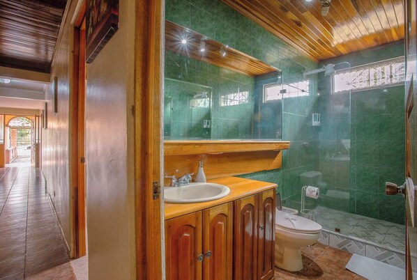 Hair dryer, towels, soap, toilet paper