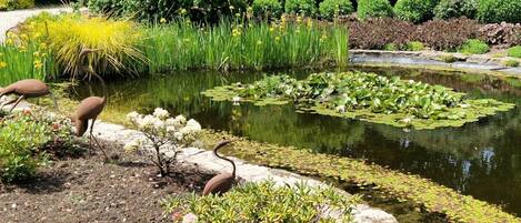 Un estanque con nenúfares y dos aves, rodeado de diversas plantas y árboles.