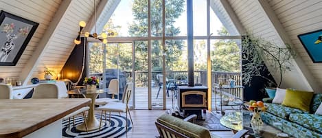 Smart TV, chimenea y libros
