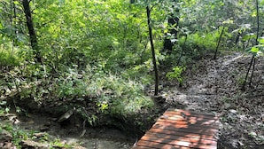 A wooden bridge in a forested area with a stream underneath.