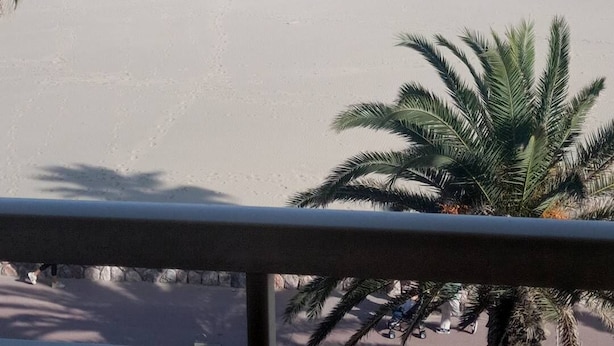 Una playa con vista despejada al océano, algunas personas y palmeras.