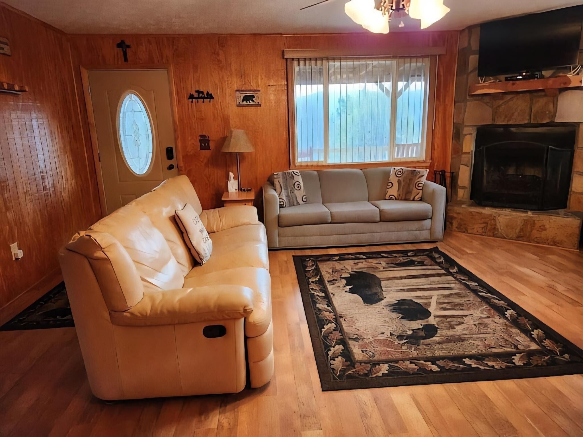 Smart TV, fireplace, DVD player, books