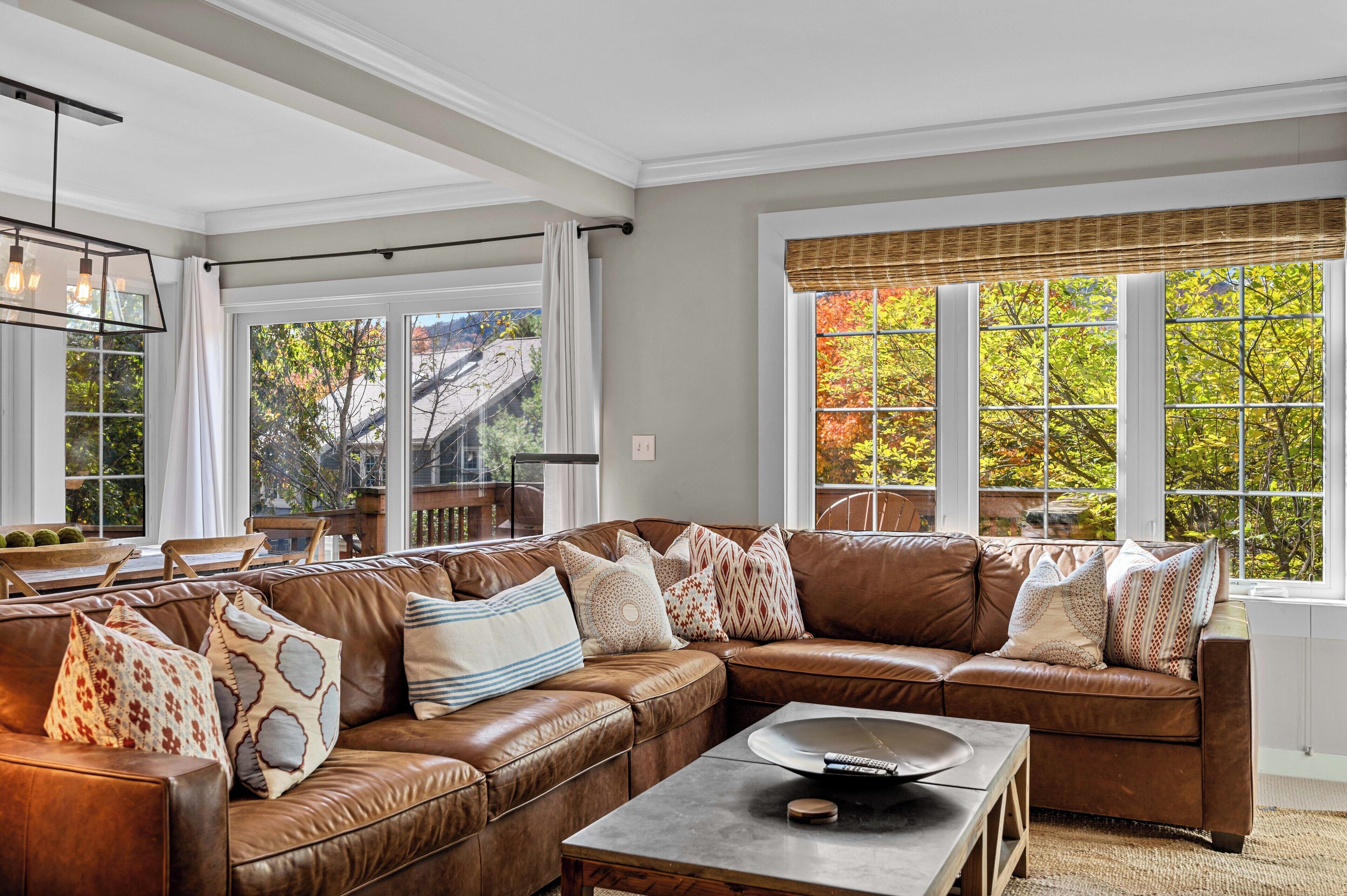 TV, fireplace, music library, stereo