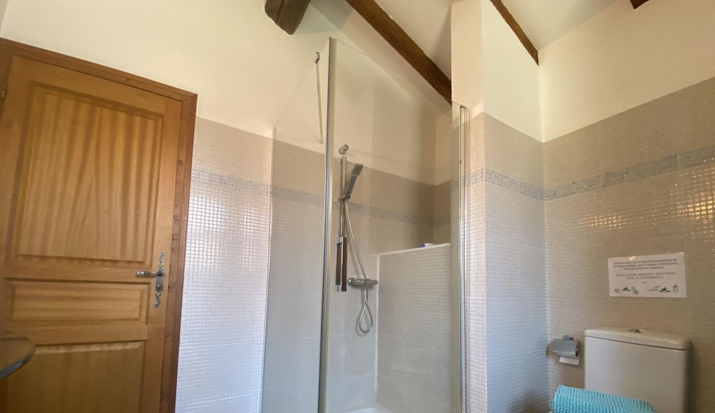 Une salle de bain avec une douche à parois de verre, une porte en bois et des toilettes avec une serviette bleue.