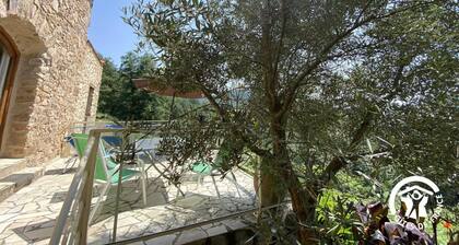 Les euphorbes - ST-LAURENT-DE-CERDANS