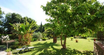 Domitia - PERPIGNAN - GĂźte