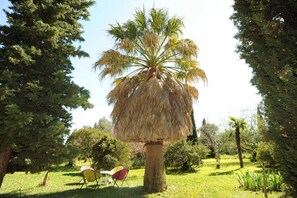 Property grounds - Mas cayrol - RIVESALTES (RIVESALTES)