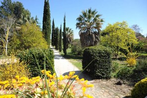 A garden pathway lined with various trees and shrubs, including tall cypress trees and a palm tree.