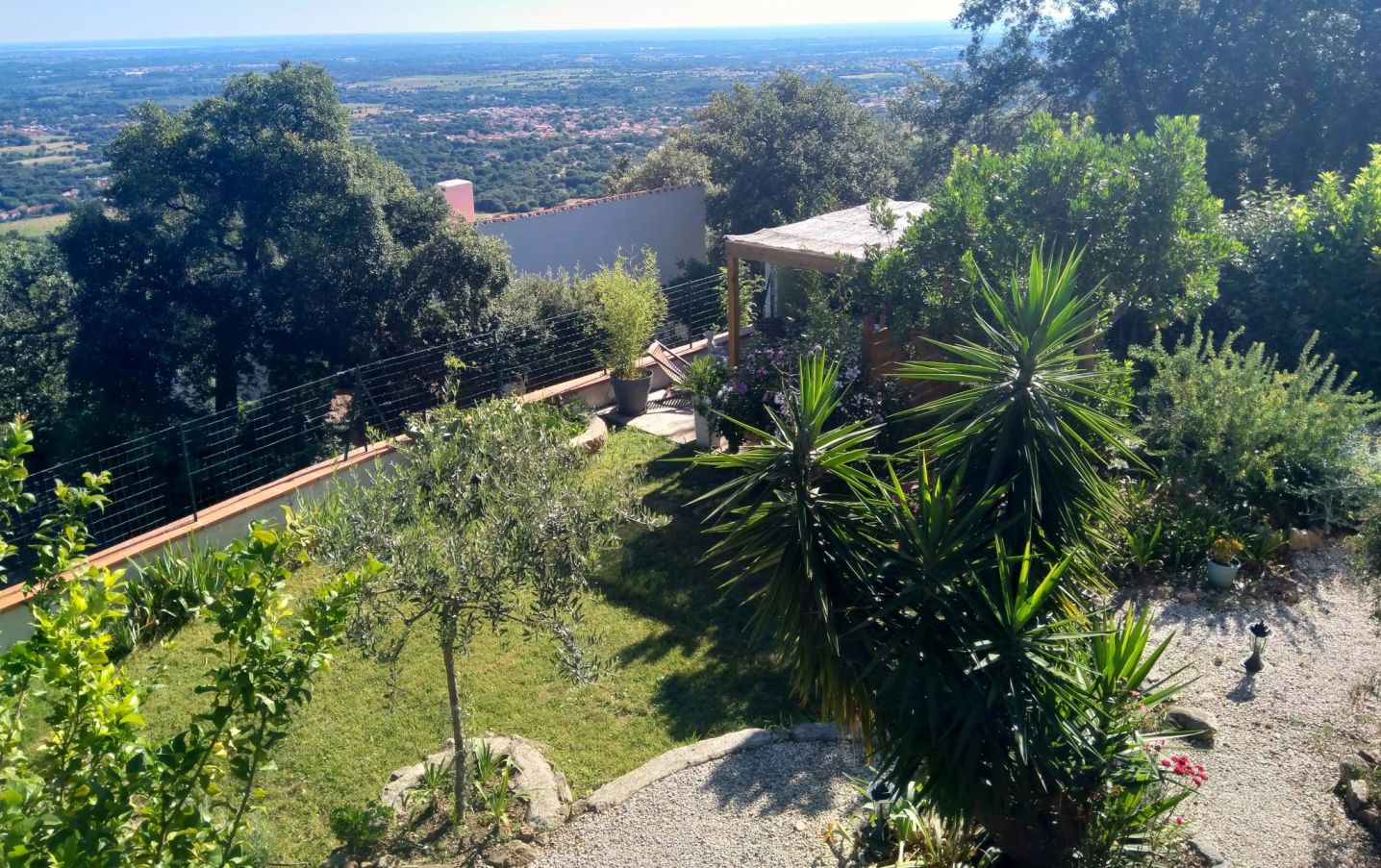 Un jardin agrémenté d’une pergola, de palmiers et offrant une vue sur une ville lointaine.