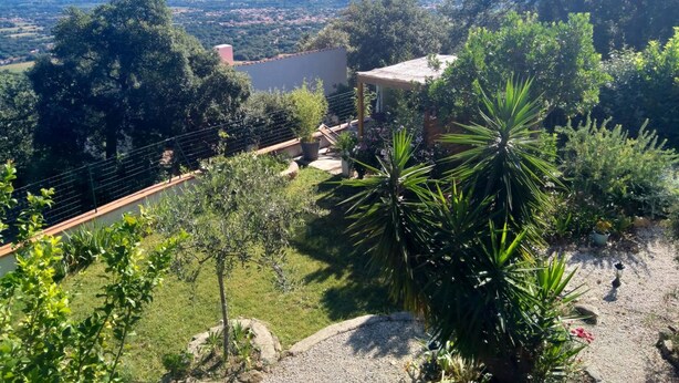 A garden with a pergola, palm trees, and a view of a distant town.