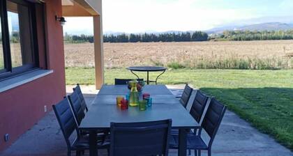 Eucalyptus - THUIR - GĂźte