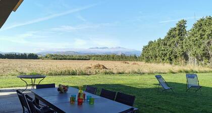 Eucalyptus - THUIR - Gîte