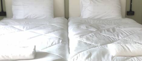 Standard Twin Room, Balcony, Mountain View