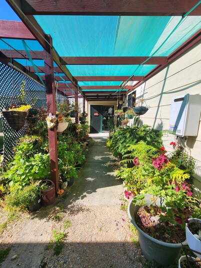 Cosy Nook Flat 4 - Budget accommodation with all the mod cons