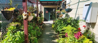 Cosy Nook Flat 4 - Budget accommodation with all the mod cons