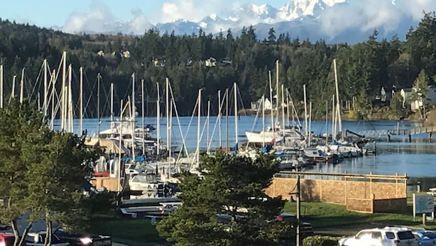 Una marina con barcos amarrados, una cadena montañosa al fondo y una zona boscosa.