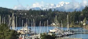 Cozy, clean, deluxe 1-bdrm apt on a goat farm at the Olympic Peninsula gateway!