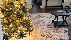 A living room with a decorated Christmas tree, a floral area rug, a wooden coffee table, and a bed in the background. - Charming 3-bedroom cottage  (Abingdon)