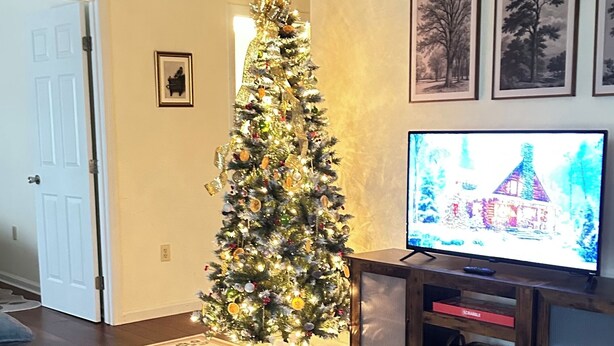 A living room with a Christmas tree, a television, and a floral rug. - Charming 3-bedroom cottage  (Abingdon)