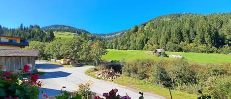 Jardines del alojamiento