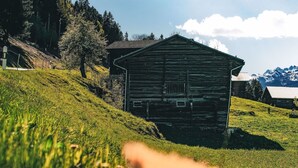 Un edifici de fusta rústic amb un teulat inclinat, envoltat per una vessada herbosa i arbres.