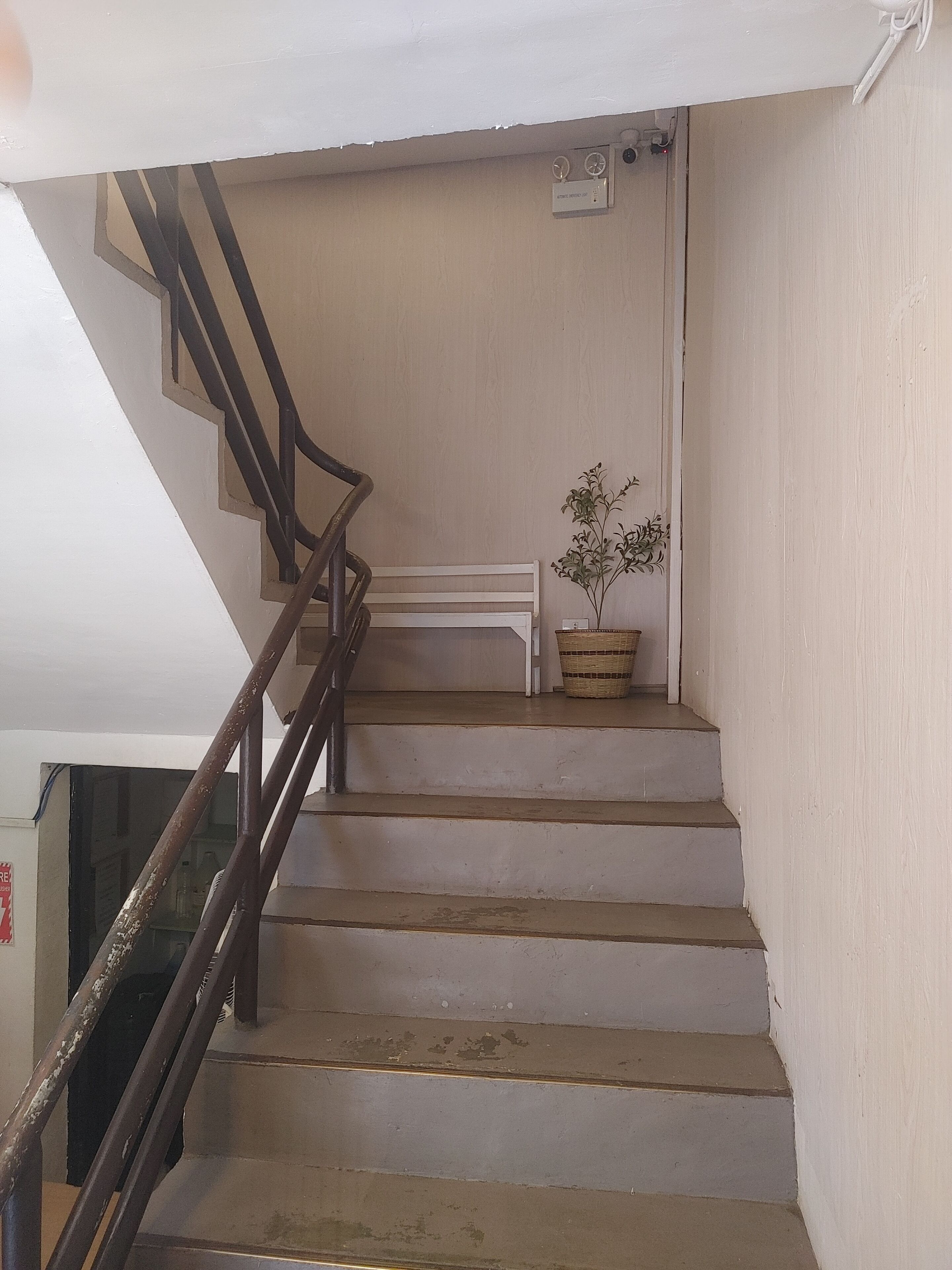 A staircase with a handrail, a potted plant, and a wall-mounted thermostat.