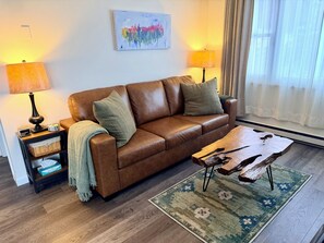 TV connectée, cheminée, livres, médiathèque