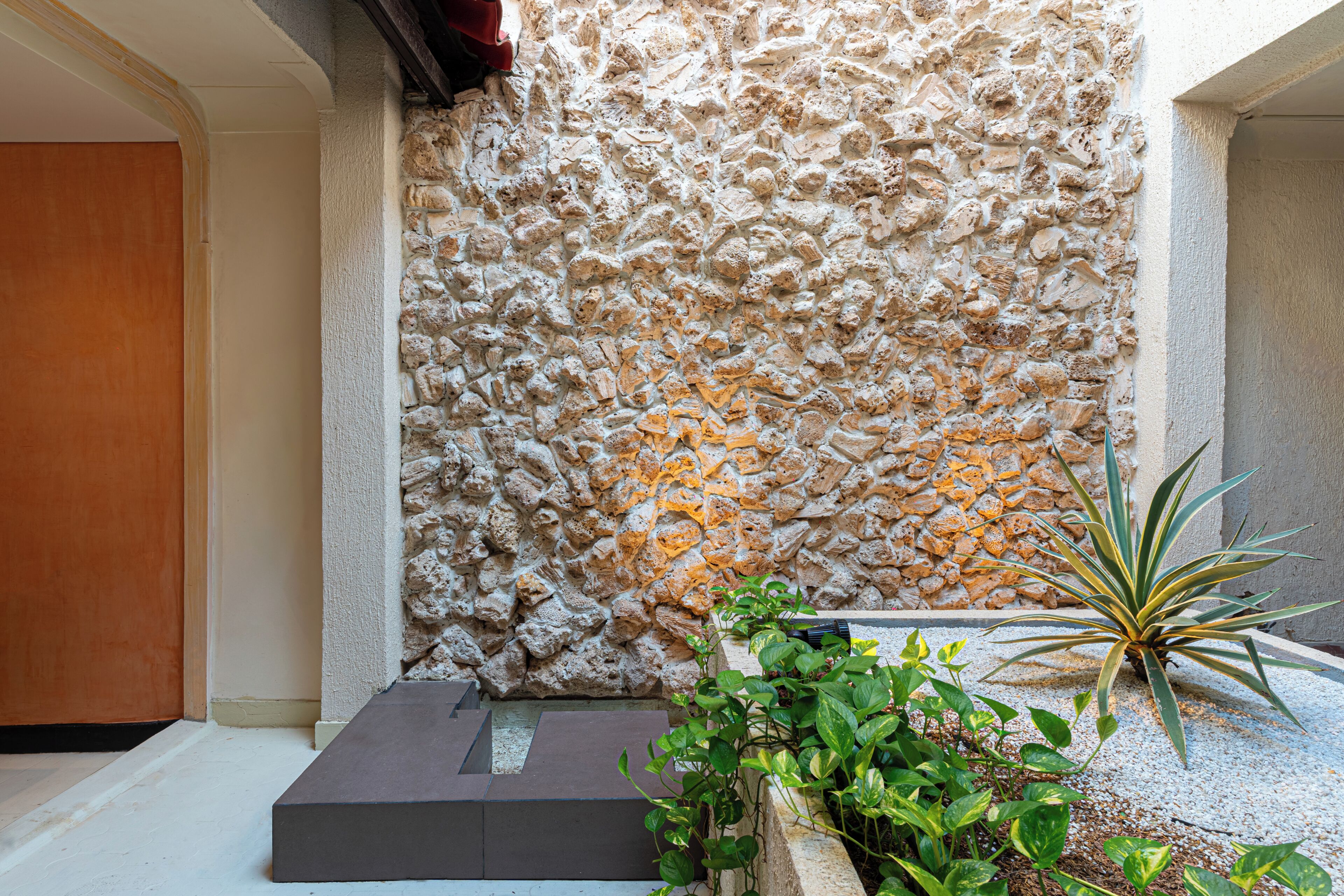 A stone wall with a textured surface, a wooden door, and a planter with green plants.