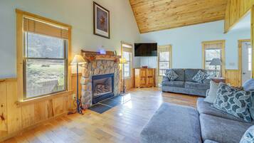 TV, fireplace, books