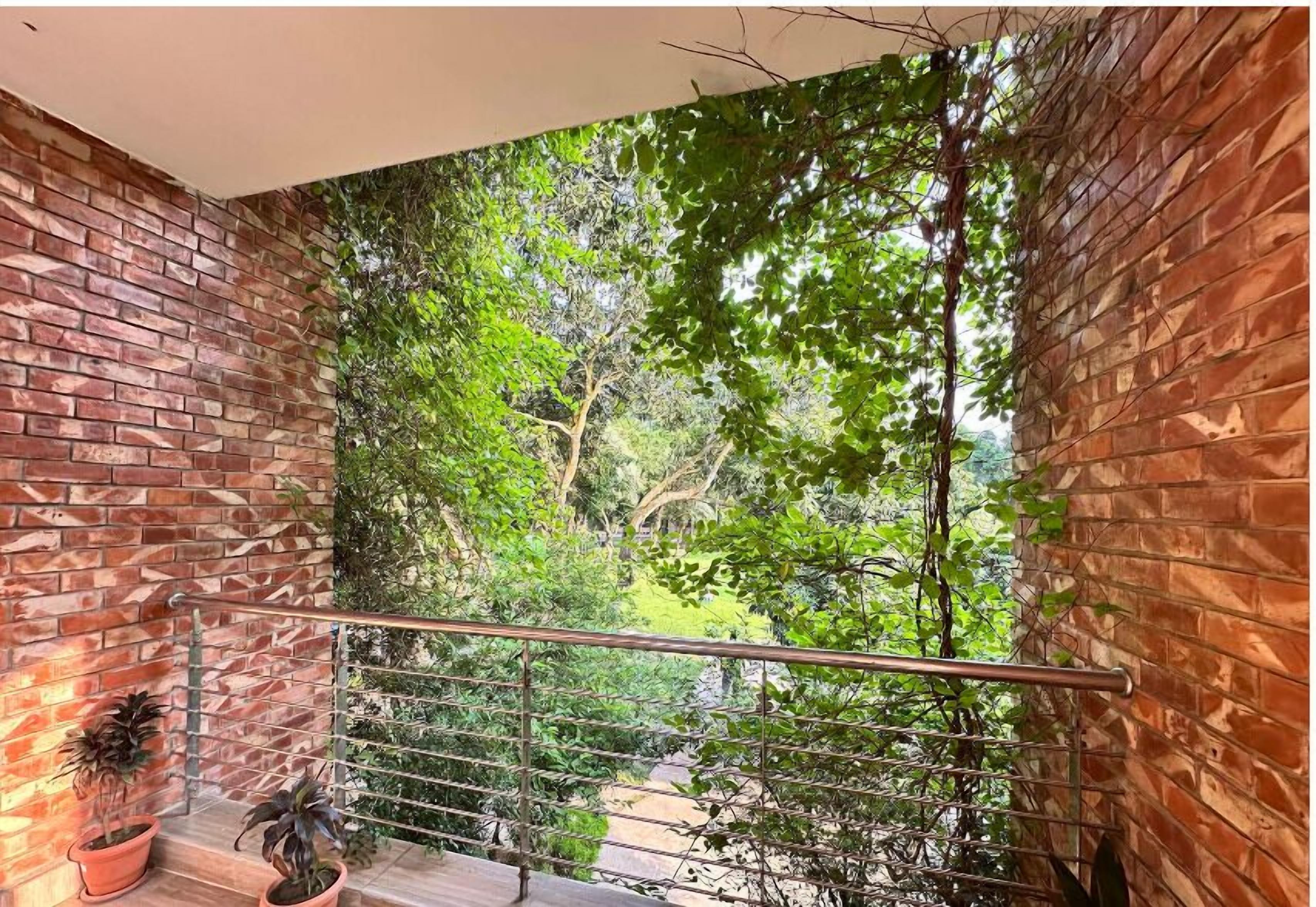 Vista desde la habitación