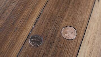 Two coins on a wooden surface.
