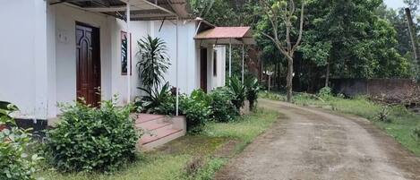 Une maison de campagne, accessible par un chemin de terre, entourée de verdure et d’arbres.