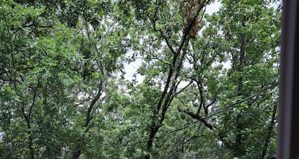 Modern Shipping Container Home near the waters of Lake Tenkiller