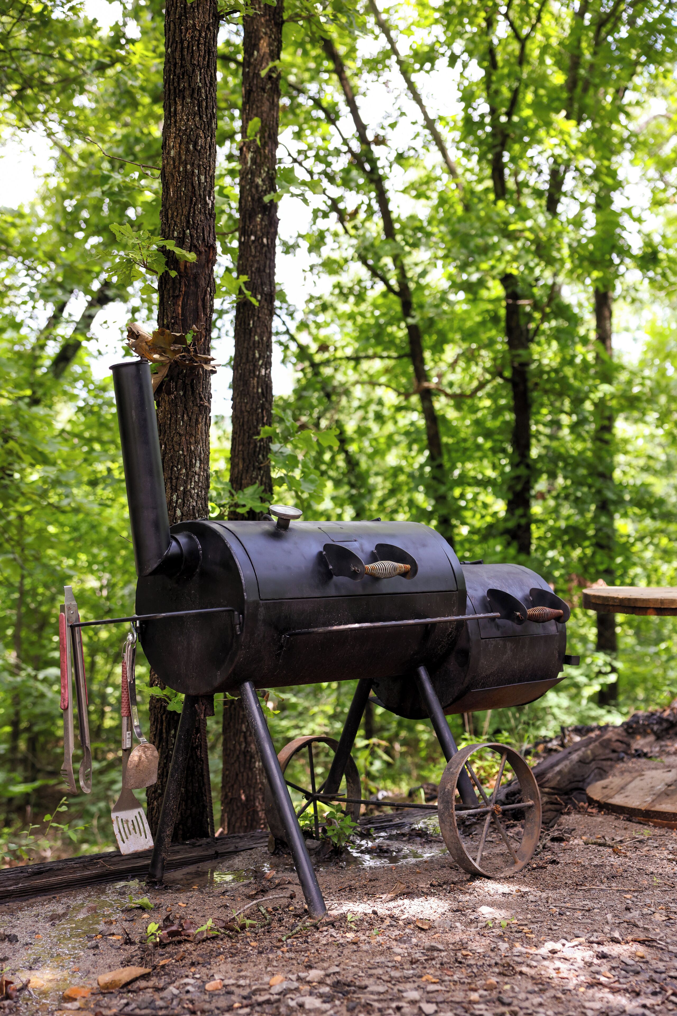 Ein tragbarer Grill in einem Waldgebiet.