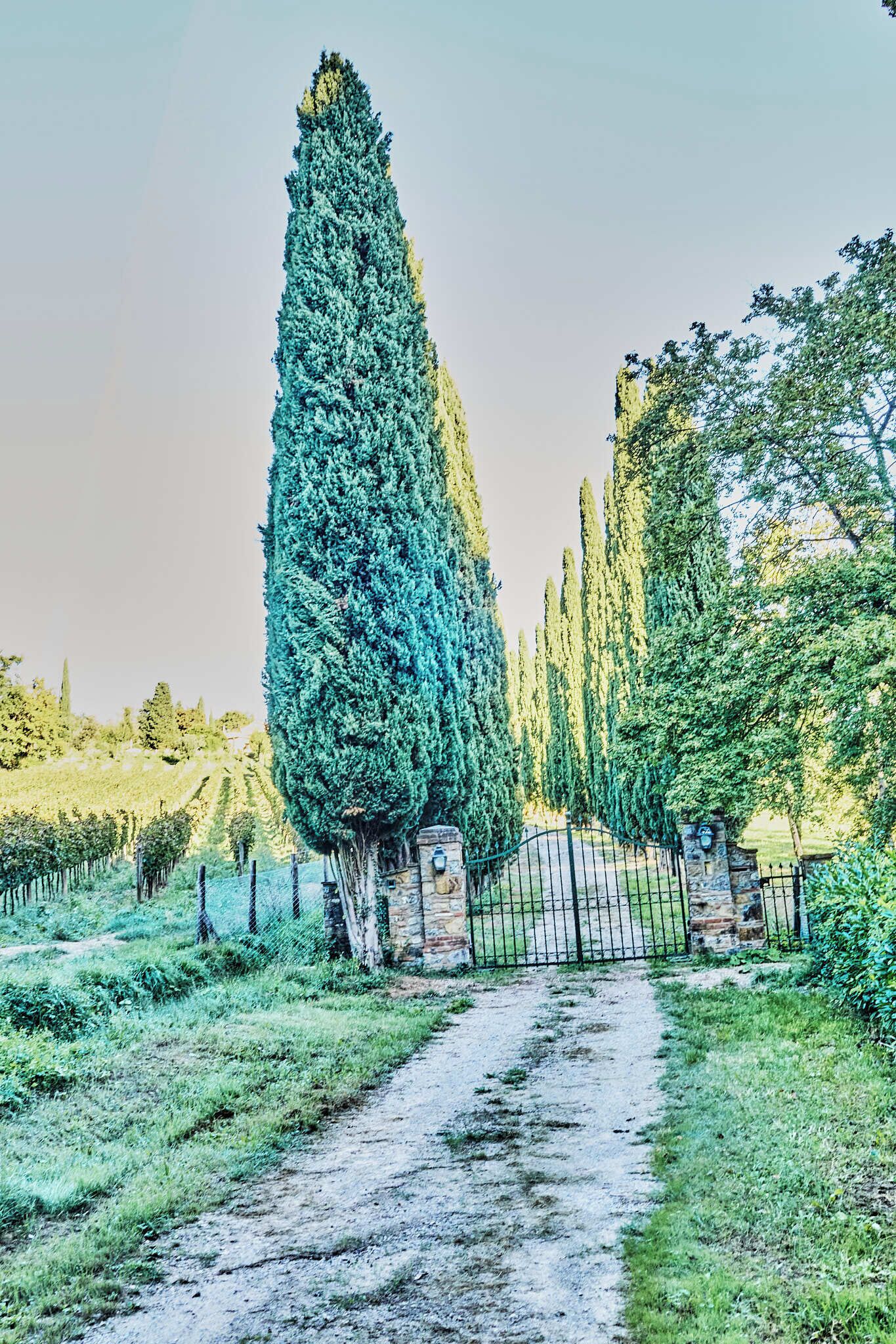 Enceinte de l’hébergement