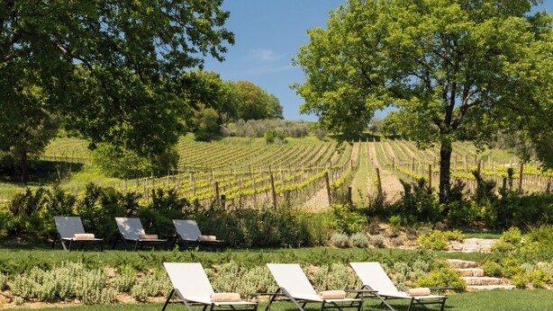Un espace piscine avec des chaises longues et, en arrière-plan, un vignoble.