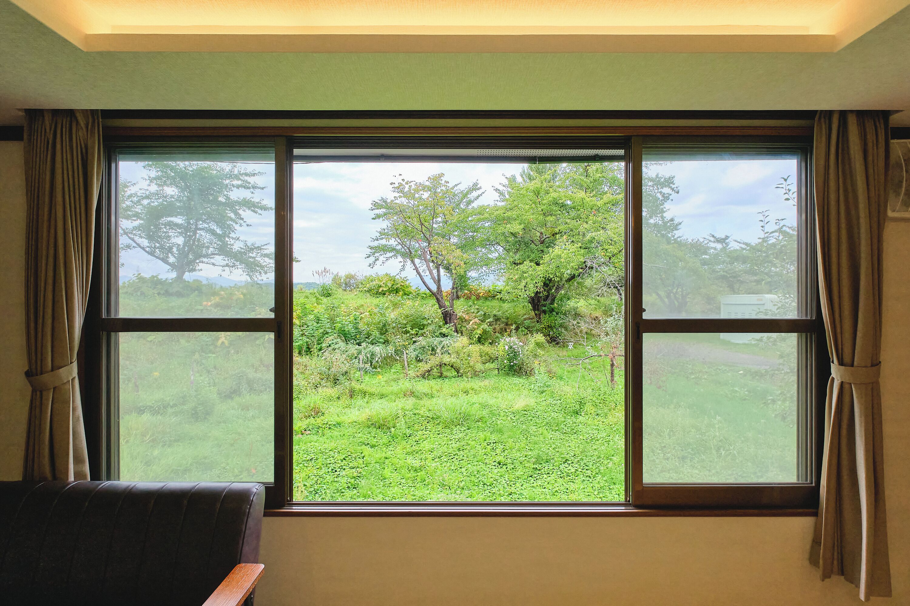 A room with a large window offering a view of a lush green landscape with trees and bushes.