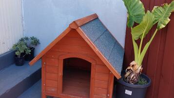 DĂ©tail de lâextĂ©rieur