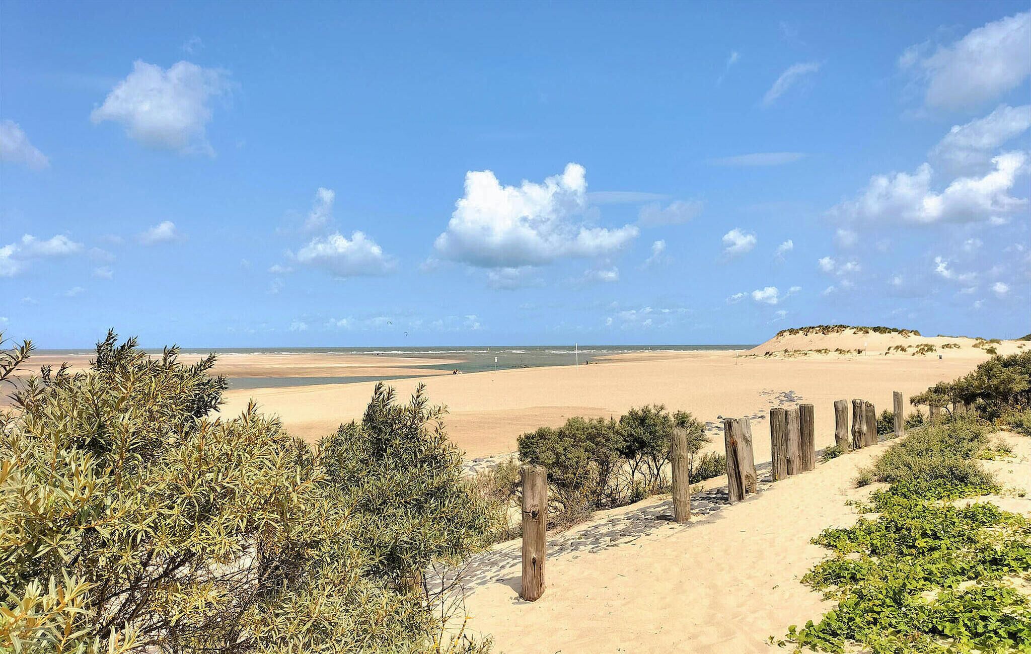 Un paysage désertique avec une plage de sable, une végétation clairsemée et un ciel bleu dégagé.