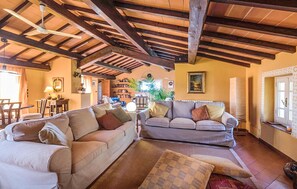 Älytelevisio, takka