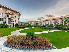 Un patio de hotel con un sendero curvo, palmeras y césped bien cuidado.